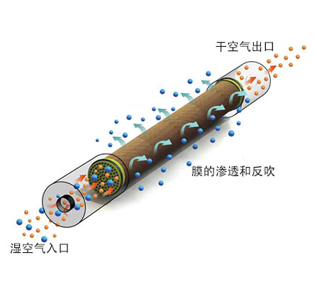 小流量壓縮空氣干燥設備-SR CMD膜干燥器的原理