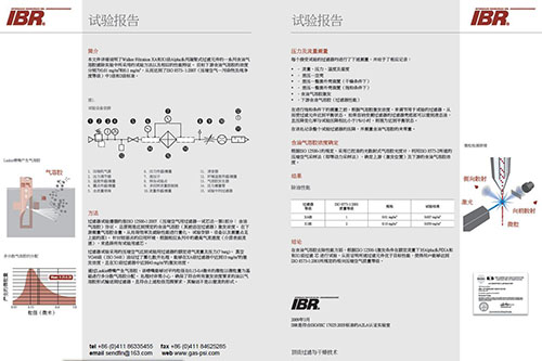Walker Filtration壓縮空氣過(guò)濾器的IBR試驗報告