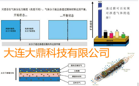 SR空壓機后處理干燥設備-SR滲膜式干燥管工作原理圖