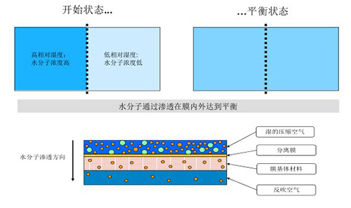 壓縮空氣滲膜式干燥器工作原理